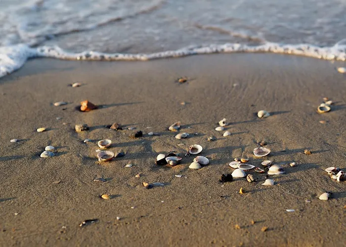 Lejlighed Flat For 6 Guests With Private Garden *